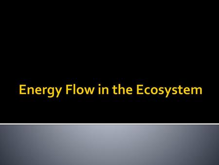 Energy Flow in the Ecosystem