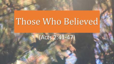 Those Who Believed (Acts 2:41-47).