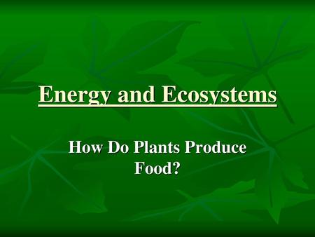 How Do Plants Produce Food?