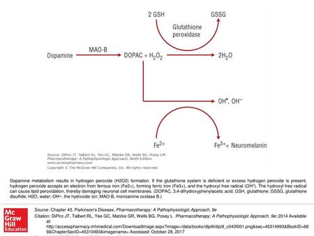 Dopamine metabolism results in hydrogen peroxide (H2O2) formation