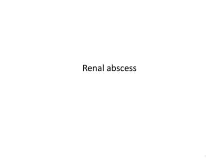 Renal abscess.