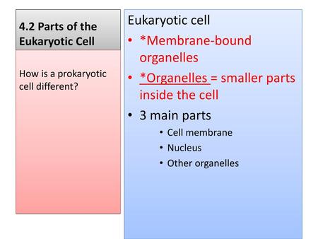 4.2 Parts of the Eukaryotic Cell