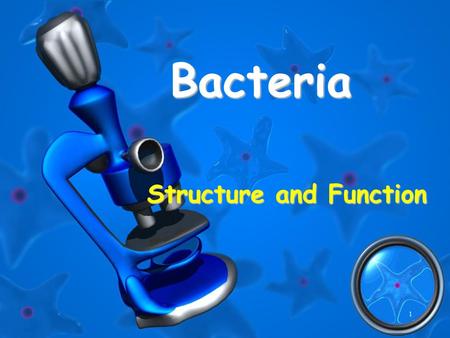 Structure and Function