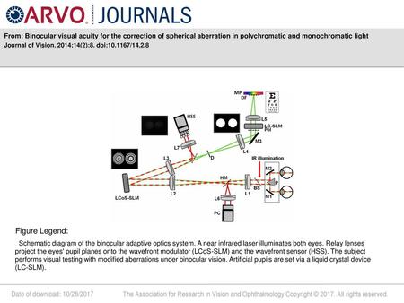 From: Binocular visual acuity for the correction of spherical aberration in polychromatic and monochromatic light Journal of Vision. 2014;14(2):8. doi:10.1167/14.2.8.