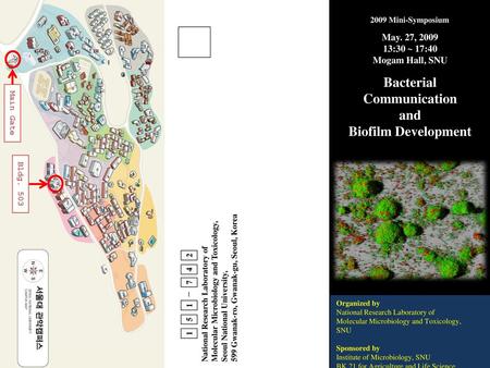 Bacterial Communication and Biofilm Development