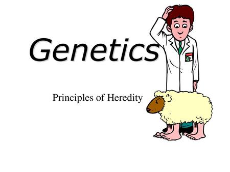 Principles of Heredity