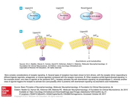 More complex considerations of receptor signaling. A