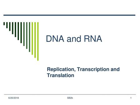 Replication, Transcription and Translation