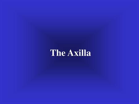 The Axilla.