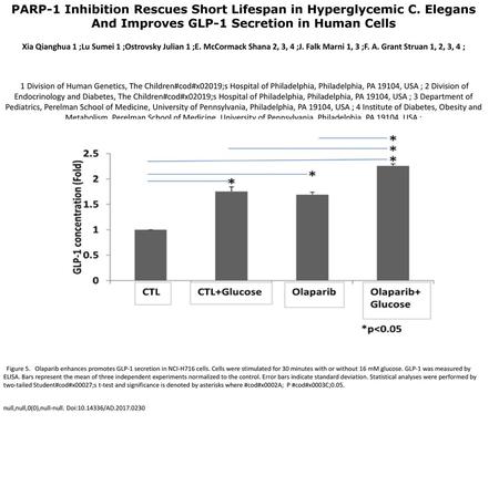 PARP-1 Inhibition Rescues Short Lifespan in Hyperglycemic C