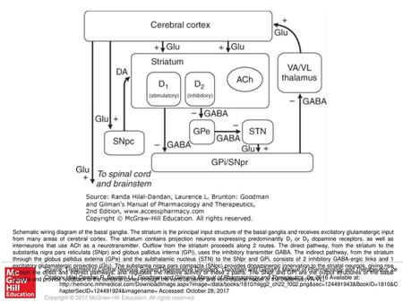 Schematic wiring diagram of the basal ganglia