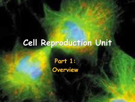 Cell Reproduction Unit