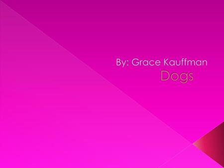 Dogs By: Grace Kauffman.