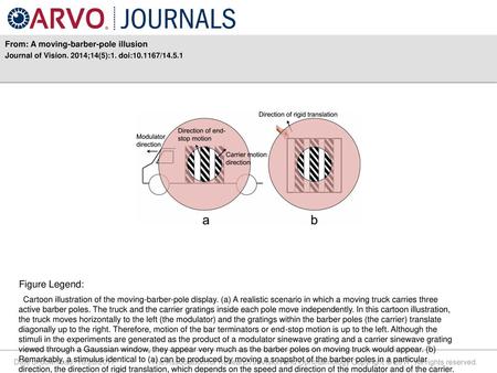 Figure Legend: From: A moving-barber-pole illusion