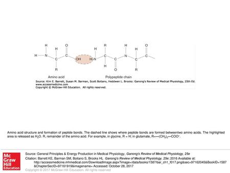 Amino acid structure and formation of peptide bonds