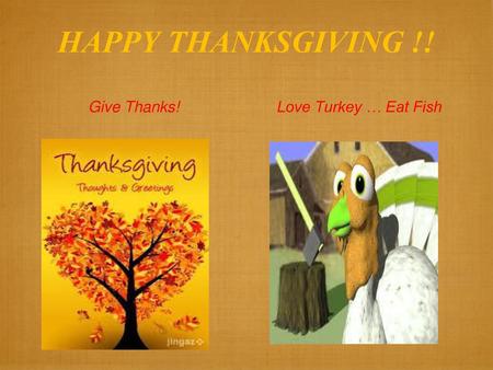 HAPPY THANKSGIVING !! Give Thanks! Love Turkey … Eat Fish.