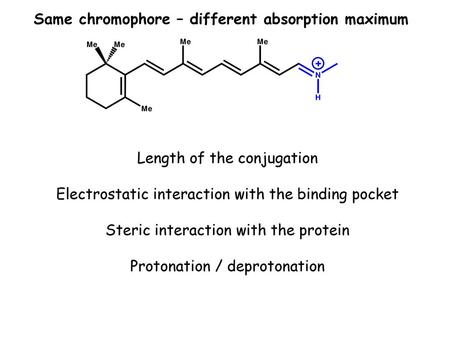 Same chromophore – different absorption maximum