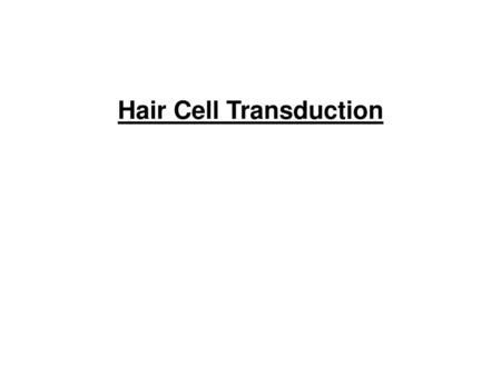 Hair Cell Transduction