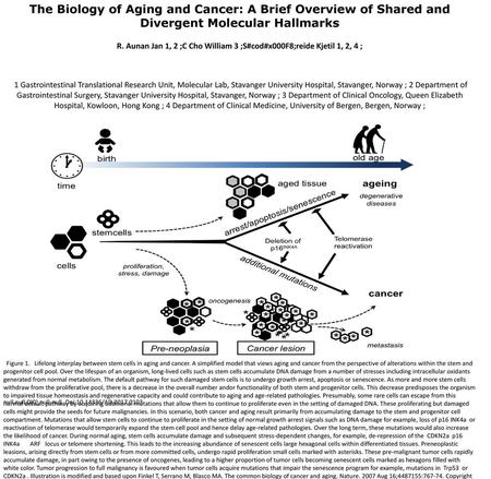 The Biology of Aging and Cancer: A Brief Overview of Shared and Divergent Molecular Hallmarks R. Aunan Jan 1, 2 ;C Cho William 3 ;S#cod#x000F8;reide Kjetil.