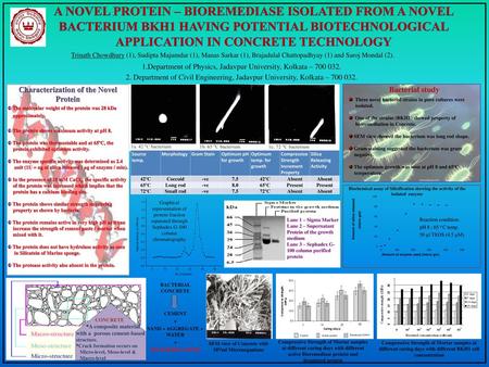 Characterization of the Novel Protein