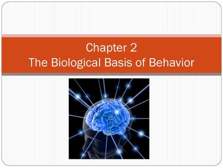 Chapter 2 The Biological Basis of Behavior