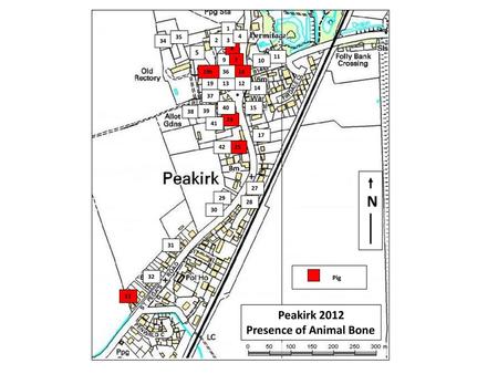 N Peakirk 2012 Presence of Animal Bone 5 Pig