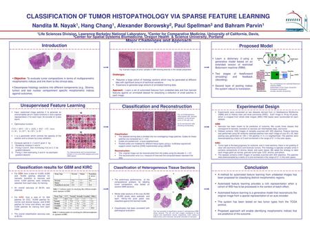 CLASSIFICATION OF TUMOR HISTOPATHOLOGY VIA SPARSE FEATURE LEARNING Nandita M. Nayak1, Hang Chang1, Alexander Borowsky2, Paul Spellman3 and Bahram Parvin1.