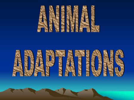 ANIMAL ADAPTATIONS.