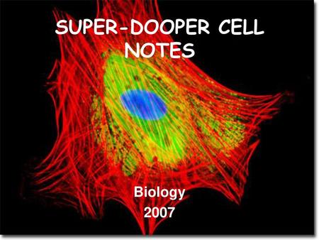 SUPER-DOOPER CELL NOTES