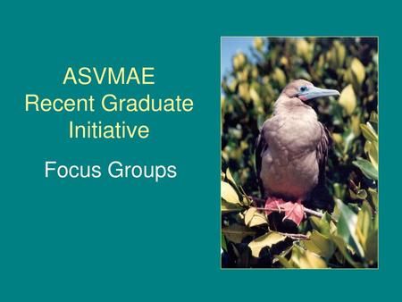 ASVMAE Recent Graduate Initiative