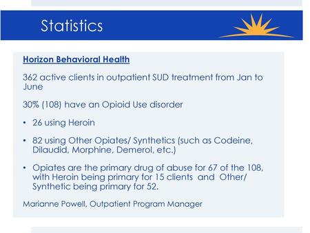 Statistics Horizon Behavioral Health