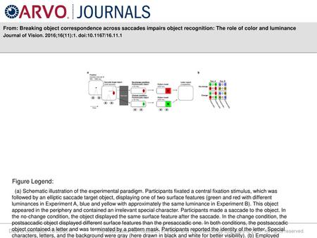 From: Breaking object correspondence across saccades impairs object recognition: The role of color and luminance Journal of Vision. 2016;16(11):1. doi:10.1167/16.11.1.