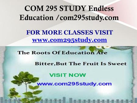 COM 295 STUDY Endless Education /com295study.com