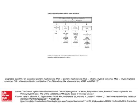 Diagnostic algorithm for suspected primary myelofibrosis