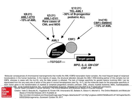 Molecular consequences of chromosomal rearrangements that modify the AML1/CBFβ transcription factor complex, the most frequent target of reciprocal translocations.