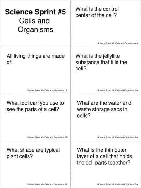 Science Sprint #5 Cells and Organisms