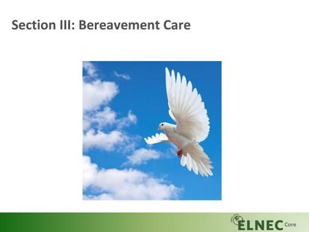 Section III: Bereavement Care