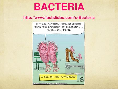 BACTERIA http://www.factslides.com/s-Bacteria.