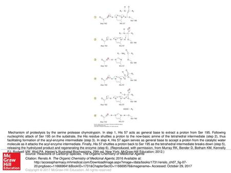 Mechanism of proteolysis by the serine protease chymotrypsin