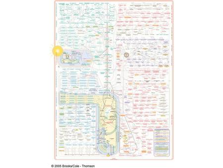 Organic Chemistry Supplement Alkyl Halides React with Nucleophiles and Bases