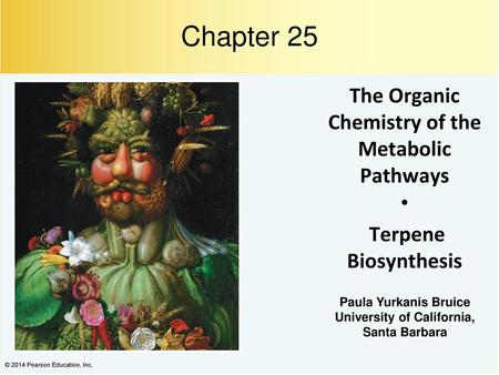 The Organic Chemistry of the Metabolic Pathways • Terpene Biosynthesis