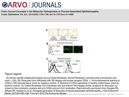 Invest. Ophthalmol. Vis. Sci ;55(3): doi: /iovs Figure Legend: