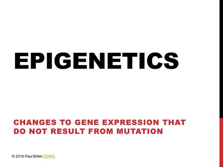 Changes to gene expression that do not result from mutation