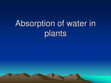 Absorption of water in plants