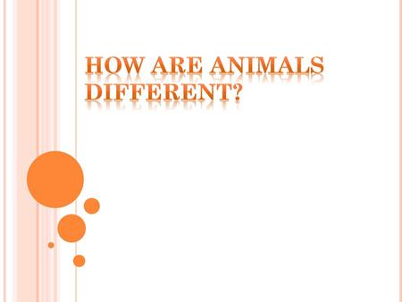 How are animals different?