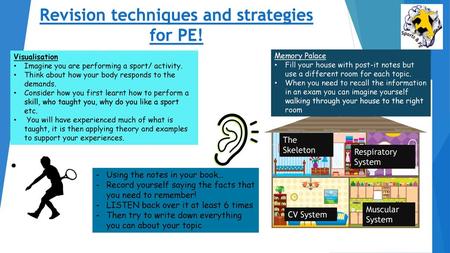 Revision techniques and strategies for PE!