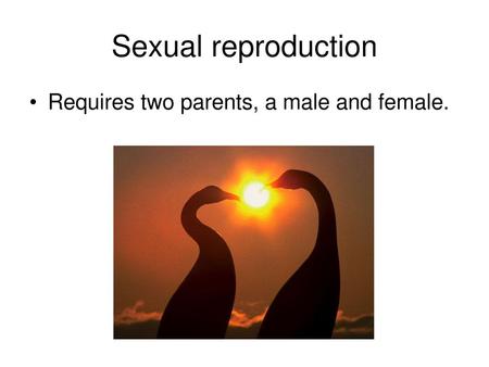 Sexual reproduction Requires two parents, a male and female.