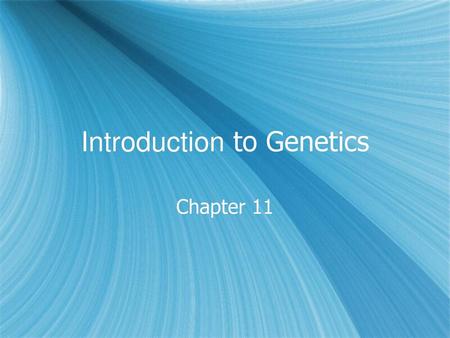 Introduction to Genetics