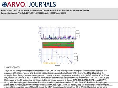 Invest. Ophthalmol. Vis. Sci ;52(6): doi: /iovs Figure Legend: