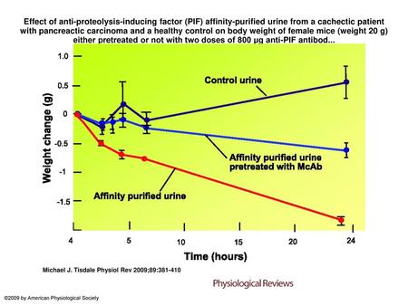 Effect of anti-proteolysis-inducing factor (PIF) affinity-purified urine from a cachectic patient with pancreactic carcinoma and a healthy control on body.